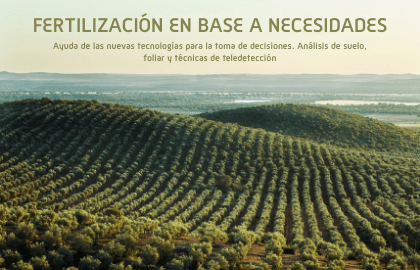 La importancia de la fertilización en el olivar (3)