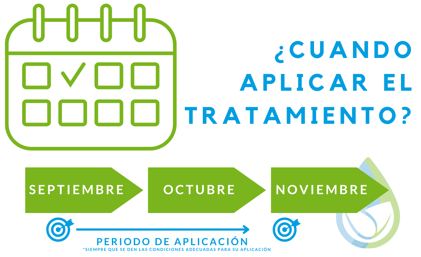Periodo de aplicación de tratamiento de otoño en olivar